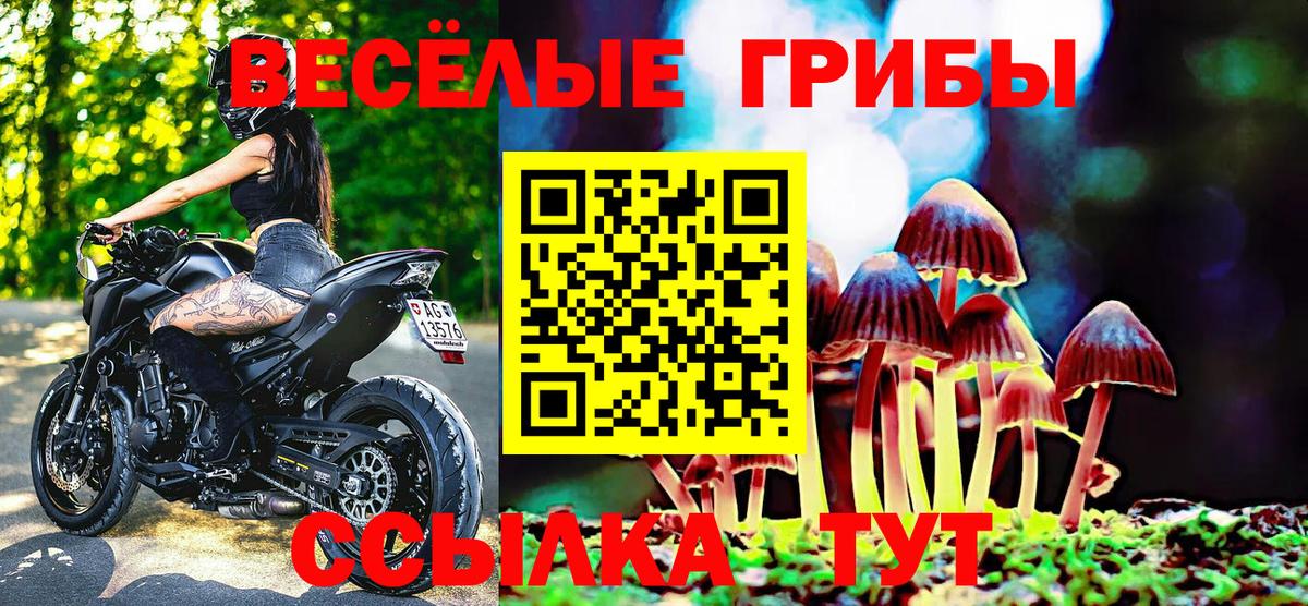 Наро-Фоминск  Псилоцибиновые грибы мухоморы  Вход с VPN 